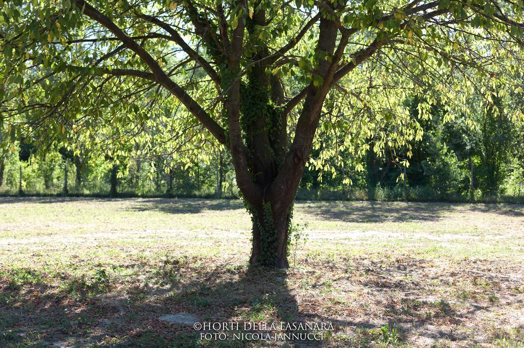 Horti Della Fasanara Guest House แฟร์รารา ภายนอก รูปภาพ