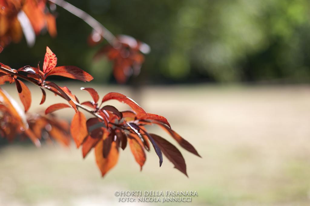 Horti Della Fasanara Guest House แฟร์รารา ภายนอก รูปภาพ