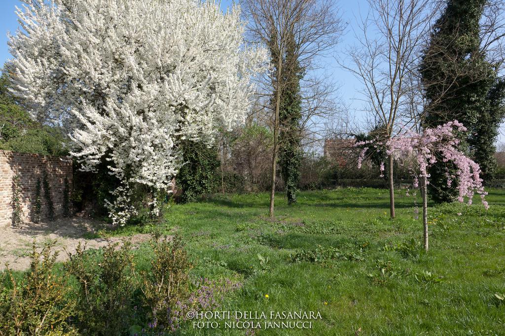 Horti Della Fasanara Guest House แฟร์รารา ภายนอก รูปภาพ
