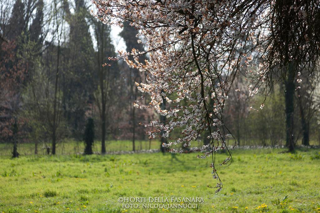 Horti Della Fasanara Guest House แฟร์รารา ภายนอก รูปภาพ